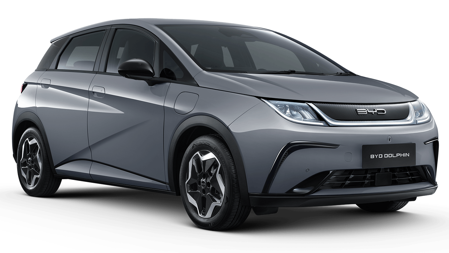 model-dolphin-color-dolphin-alaskan-grey-exterior