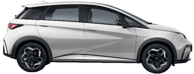 model-new-dolphin-model